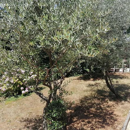 Apartment Ena *
