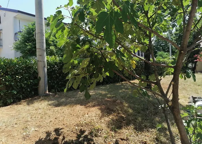 公寓 Ena *